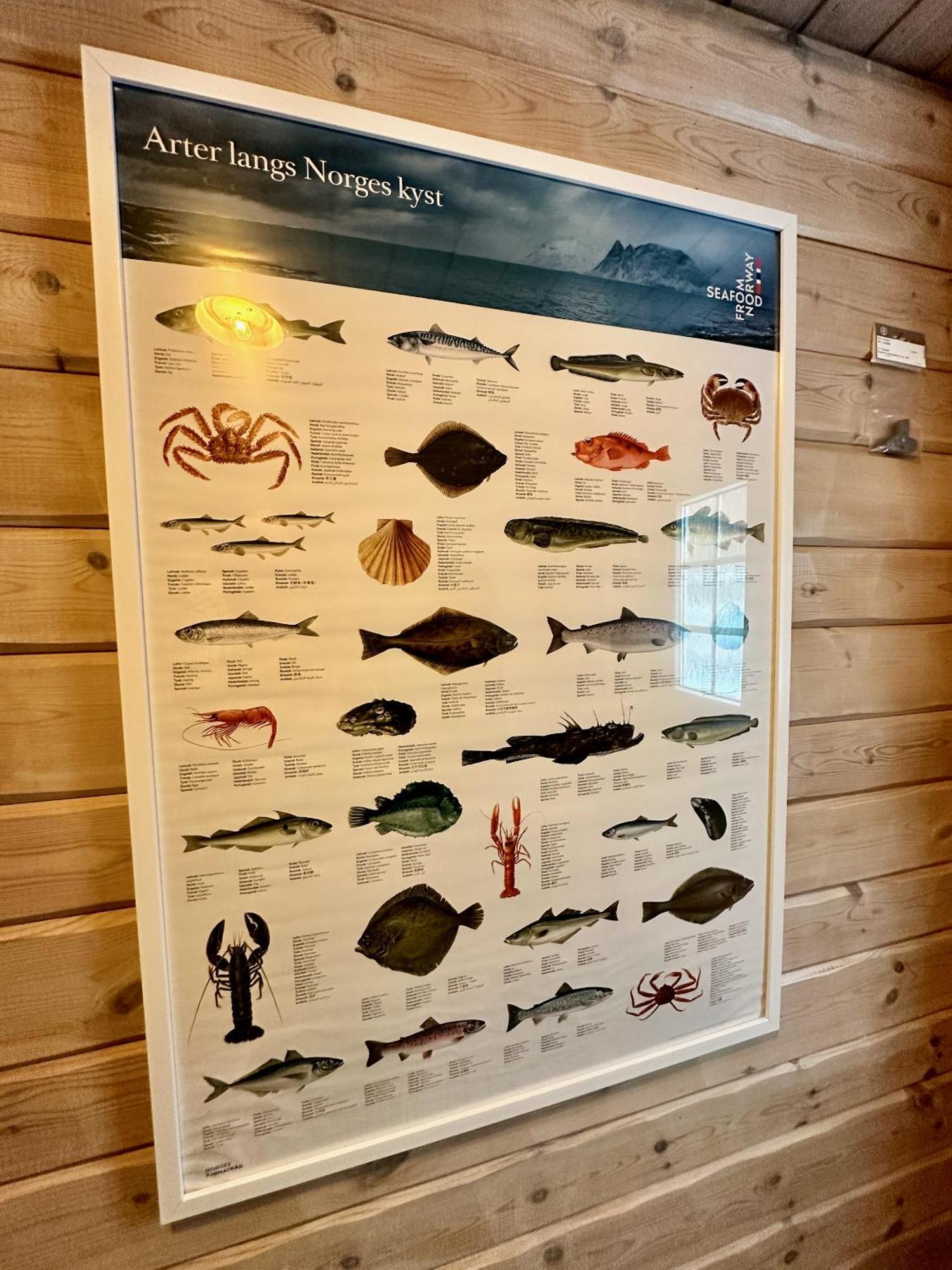 Lofoten Troll Point Bostad Ngoại thất bức ảnh
