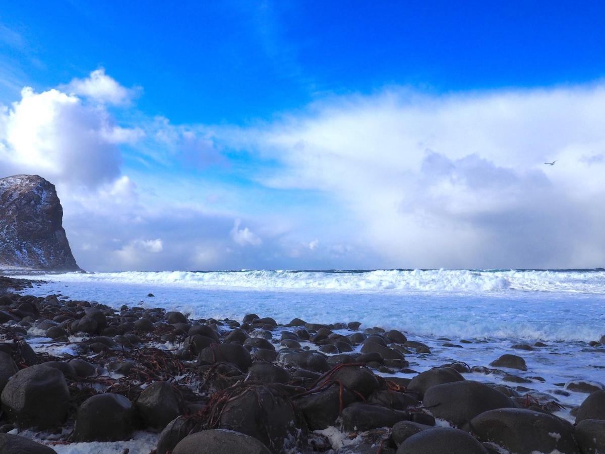 Lofoten Troll Point Bostad Ngoại thất bức ảnh